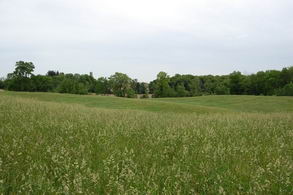 Bathurst Street Frontage, King - Country homes for sale and luxury real estate including horse farms and property in the Caledon and King City areas near Toronto